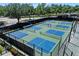 Well-maintained outdoor pickleball courts with nets, surrounded by a secure fence and mature trees at 5225 Brighton Shore Dr, Apollo Beach, FL 33572