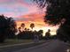 Scenic sunset view down the neighborhood street with palm trees and a beautiful sky at 5225 Brighton Shore Dr, Apollo Beach, FL 33572