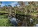 Residents' private creek lined with trees and natural vegetation for a serene neighborhood retreat at 5496 Riverwalk Preserve Dr, New Port Richey, FL 34653