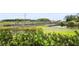 Green vegetation surrounds a pond with a bridge in the background at 5496 Riverwalk Preserve Dr, New Port Richey, FL 34653