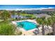 Community pool with lounge chairs, palm trees, and lake view on a sunny day at 841 Royal Empress Dr, Ruskin, FL 33570