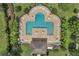 Aerial view of community pool with ample seating and manicured landscaping at 10833 Breaking Rocks Dr, Tampa, FL 33647