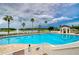 Resort-style pool with lounge chairs, palm trees, and lake views, perfect for relaxation and recreation at 1210 Wolford Dr, Trinity, FL 34655
