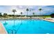 Beautiful community pool with palm trees and lake views, surrounded by lounge chairs for relaxing at 1210 Wolford Dr, Trinity, FL 34655