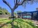 A beautiful fenced backyard with a screened-in pool, lush green grass, and mature trees creating shaded areas at 1445 Stonehenge Way, Palm Harbor, FL 34683