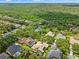 Community aerial view shows homes nestled among mature trees with solar panels at 15110 Kestrelglen Way, Lithia, FL 33547