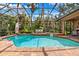 Screened-in pool area with a luxurious spa and surrounded by lush landscaping for ultimate relaxation at 15110 Kestrelglen Way, Lithia, FL 33547