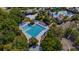 This aerial view highlights a large lap swimming pool with lounge chairs around the deck surrounded by mature landscaping at 15934 Sorawater Dr, Lithia, FL 33547