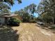 Large grassy backyard surrounded by mature trees with a car parked in the distance at 2033 Aaron Pl, Clearwater, FL 33760