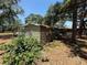 View of the backyard featuring a shed with flower decorations and mulch and tree lined lot at 2033 Aaron Pl, Clearwater, FL 33760