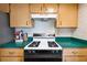 This kitchen is equipped with a modern oven and plenty of cabinet space for storage at 21608 Wytheville Way, Lutz, FL 33549