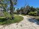 Backyard featuring a stone path, mature trees, and ample space for gardening and outdoor activities at 3207 S De Bazan Ave, St Pete Beach, FL 33706