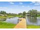 View of a wooden dock extending into a tranquil lake, surrounded by lush greenery and houses with lake access at 3366 Clover Leaf Ln, Land O Lakes, FL 34639