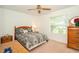 Cozy bedroom features neutral carpet, ceiling fan, and natural light at 34507 Cedarfield Dr, Dade City, FL 33523