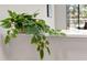 Bright interior featuring a decorative plant and a white shelf at 616 Garland Cir, Indian Rocks Beach, FL 33785