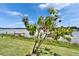 Fruit-bearing mango tree in a landscaped backyard with lake access at 6425 Clair Shore Dr, Apollo Beach, FL 33572