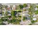 An aerial view of a well-landscaped residential area highlighting the home's location on a tree-lined street at 8517 N Branch Ave, Tampa, FL 33604