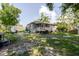 Backyard featuring covered patio and green space at 8517 N Branch Ave, Tampa, FL 33604