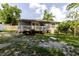 Lush backyard featuring covered patio and mature landscaping at 8517 N Branch Ave, Tampa, FL 33604