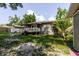 Beautiful backyard featuring a covered patio and mature trees at 8517 N Branch Ave, Tampa, FL 33604