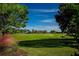 Scenic golf course view with lush green fairways and trees under a clear blue sky, perfect for outdoor recreation and leisure at 1009 Andover Cir, Sun City Center, FL 33573
