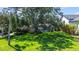 Lush, green backyard with mature shade tree and space to relax, play and enjoy the outdoors at 1238 Monterey Ne Blvd, St Petersburg, FL 33704