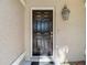 A close-up of a beautiful, black, raised-panel front door with lantern-style light fixture at 1517 Gunsmith Dr, Lutz, FL 33559