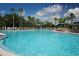 Large swimming pool area with lounge chairs and palm trees on a sunny day at 1828 Foxhunt Dr # A, Sun City Center, FL 33573