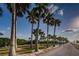 Picturesque walking path framed by tall palm trees, showcasing a tranquil scene and natural beauty at 1926 Fairway W Cir, Dunedin, FL 34698