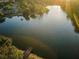 Beautiful aerial view of a tranquil lake with a wooden dock, surrounded by lush greenery and neighborhood homes at 204 Lake Charles Ct, Oldsmar, FL 34677