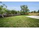 Large grassy yard offers ample outdoor space for gardening or recreation at 204 Lake Charles Ct, Oldsmar, FL 34677