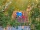 Aerial view of a vibrant community playground with colorful slides and shaded play area at 204 Lake Charles Ct, Oldsmar, FL 34677