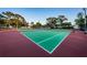 View of community tennis courts with trees in the background at 204 Lake Charles Ct, Oldsmar, FL 34677