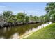 Peaceful waterfront scenery featuring lush greenery and calm water at 204 Lake Charles Ct, Oldsmar, FL 34677