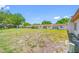 Large backyard lawn area behind the townhomes, plenty of space at 2928 Feather Dr, Clearwater, FL 33759