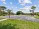 Community basketball court with well-maintained surface, hoops, and surrounding green space at 33716 Elm Hill Br, Wesley Chapel, FL 33545