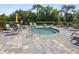 A small, round hot tub is surrounded by lounge chairs and greenery at 33716 Elm Hill Br, Wesley Chapel, FL 33545
