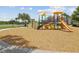 Vibrant community playground with colorful play equipment and ample space for children to play at 33716 Elm Hill Br, Wesley Chapel, FL 33545