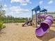 Outdoor community playground with play structures, slides, swings, and wood chip ground cover at 33716 Elm Hill Br, Wesley Chapel, FL 33545