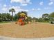 Community playground with colorful slides, climbing structures, and a soft, wood-chip ground cover at 33716 Elm Hill Br, Wesley Chapel, FL 33545