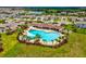 Community pool surrounded by palm trees, lounge chairs, and a covered area for relaxing in the Florida sunshine at 33716 Elm Hill Br, Wesley Chapel, FL 33545