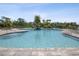 A pool is surrounded by pavers, palm trees, and lounge chairs at 33716 Elm Hill Br, Wesley Chapel, FL 33545