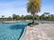 A zero entry pool is surrounded by pavers and a large palm tree in the center at 33716 Elm Hill Br, Wesley Chapel, FL 33545