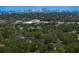 Aerial view of the neighborhood showcasing lush greenery with a skyline view in the distance at 4121 W San Nicholas St, Tampa, FL 33629
