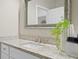 Close-up of granite countertop in bathroom with modern faucet and vase with greenery at 4121 W San Nicholas St, Tampa, FL 33629