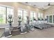 Modern gym featuring treadmills, elliptical machines, and well-lit spaces for a complete fitness experience at 4770 Ballantrae Blvd, Land O Lakes, FL 34638