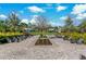 Outdoor seating area on a brick-paved plaza, with garden and views of the clubhouse and natural surroundings at 4770 Ballantrae Blvd, Land O Lakes, FL 34638