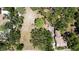 Aerial view of a lot surrounded by mature trees, with a path leading to the house at 5680 77Th N Ave, Pinellas Park, FL 33781