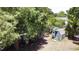A backyard featuring a shed with mature trees, greenery, and partial shade at 5680 77Th N Ave, Pinellas Park, FL 33781