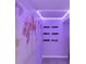 Hallway with a world map, cool LED lights, and black shelves at 7732 Bulls Head Dr, Wesley Chapel, FL 33545
